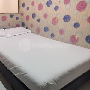 Kamar king standard